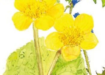 Optimized by JPEGmini 3.14.12.71901706 0xcf265972