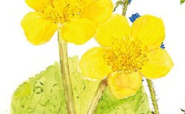 Optimized by JPEGmini 3.14.12.71901706 0xcf265972